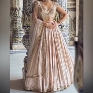 Nude and Gold Embroidered Lehenga